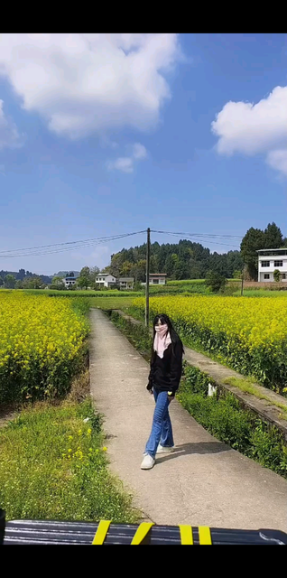 美好的一天又开始拉/