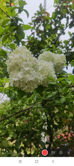 婷婷💕感恩有你陪伴的图片