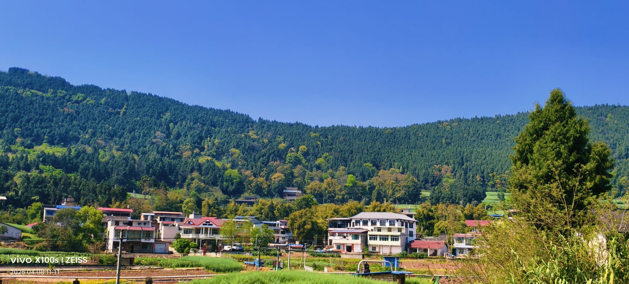 妞妞骑行全国的图片
