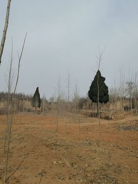 此账号已注销的图片