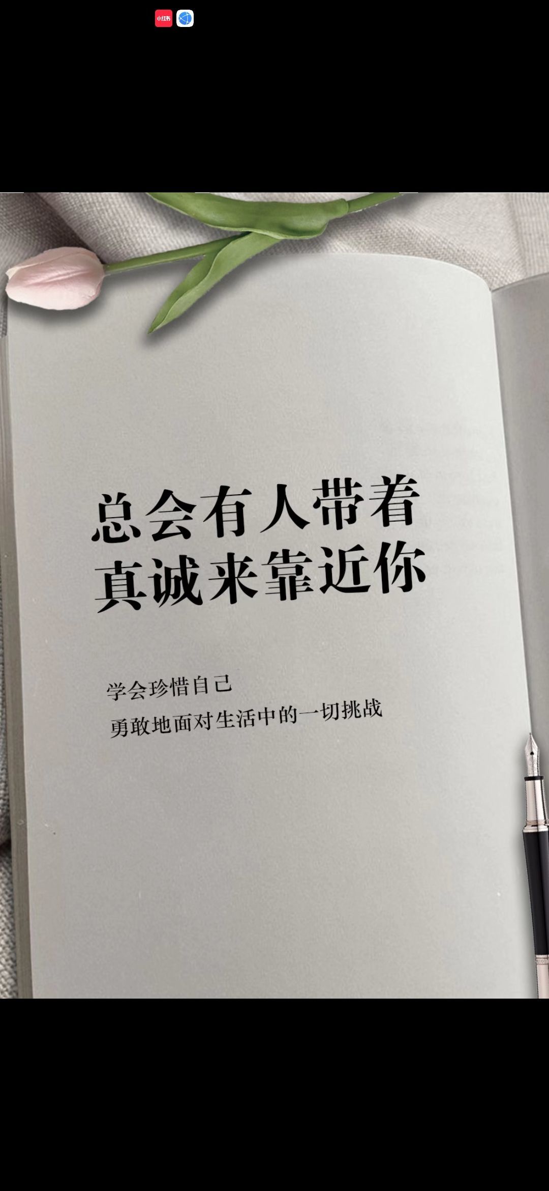 丑小鸭💞愿有一束光的图片