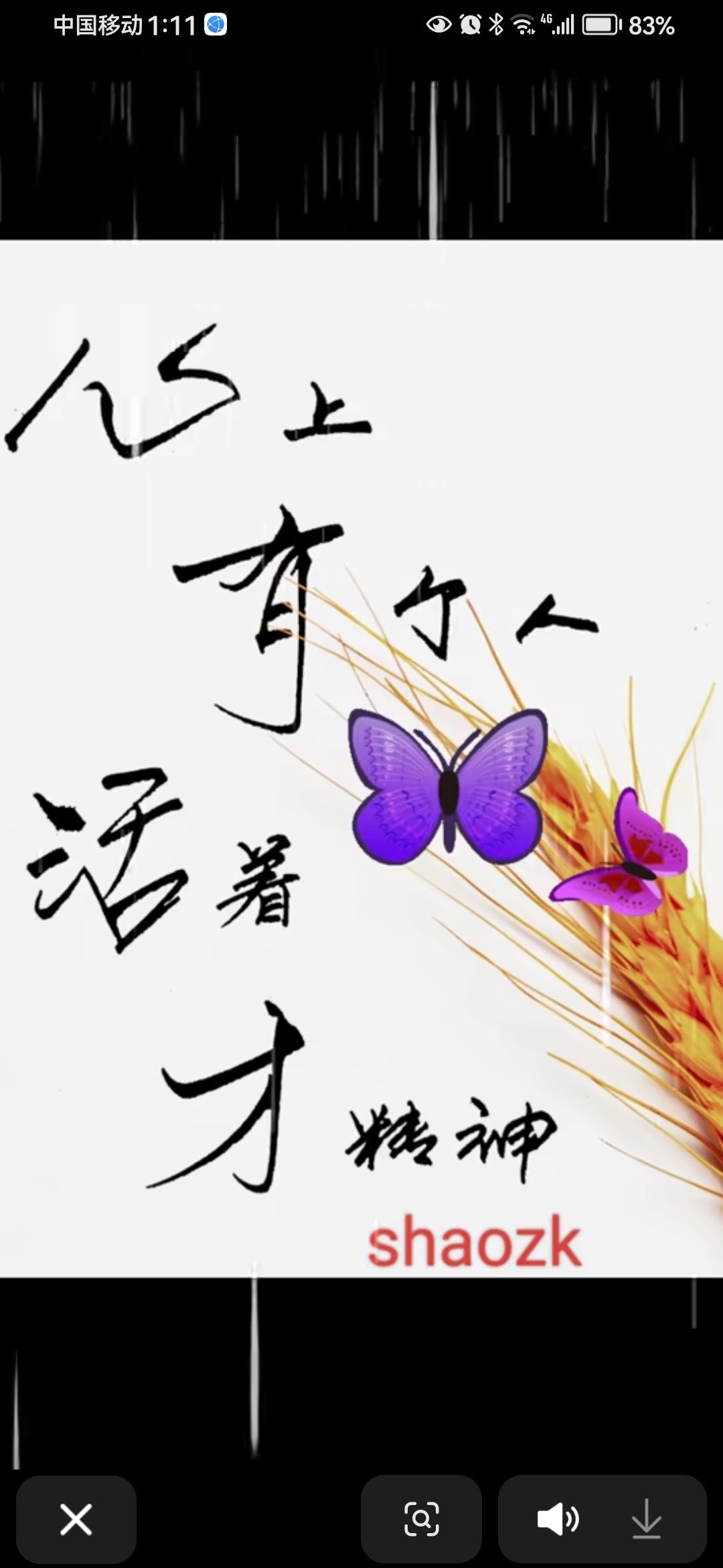 丑小鸭💞愿有一束光的图片