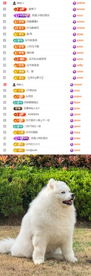 陈慧慧🥕早10晚8主播照片