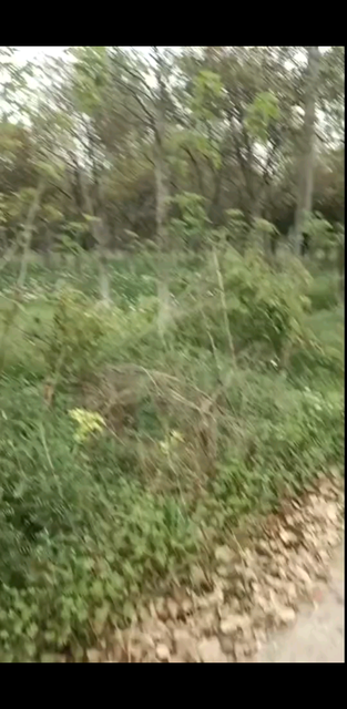 逛逛