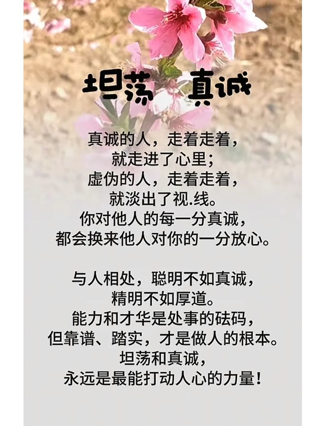 丑小鸭💞愿有一束光的图片