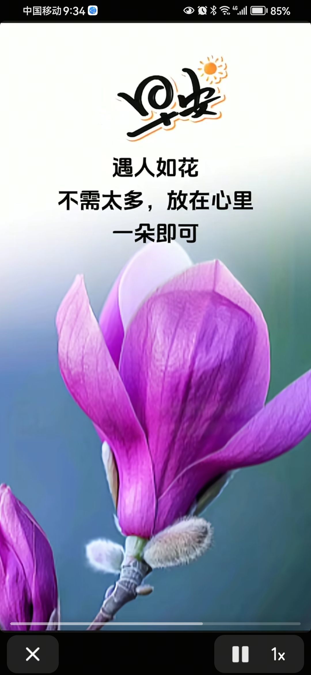 丑小鸭💞愿有一束光的图片
