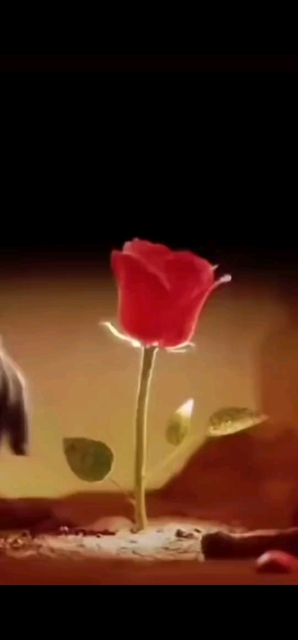 花开世界