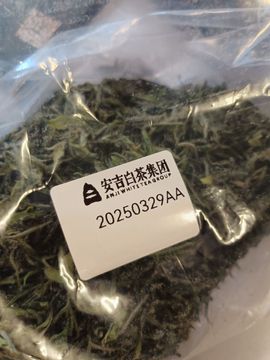 茶茶幸运星主播照片