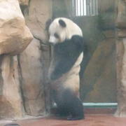吾之一生所爱