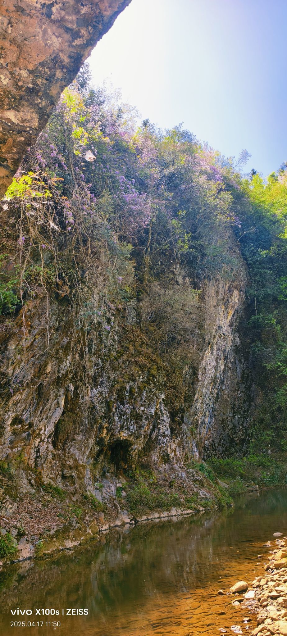 妞妞骑行全国的图片
