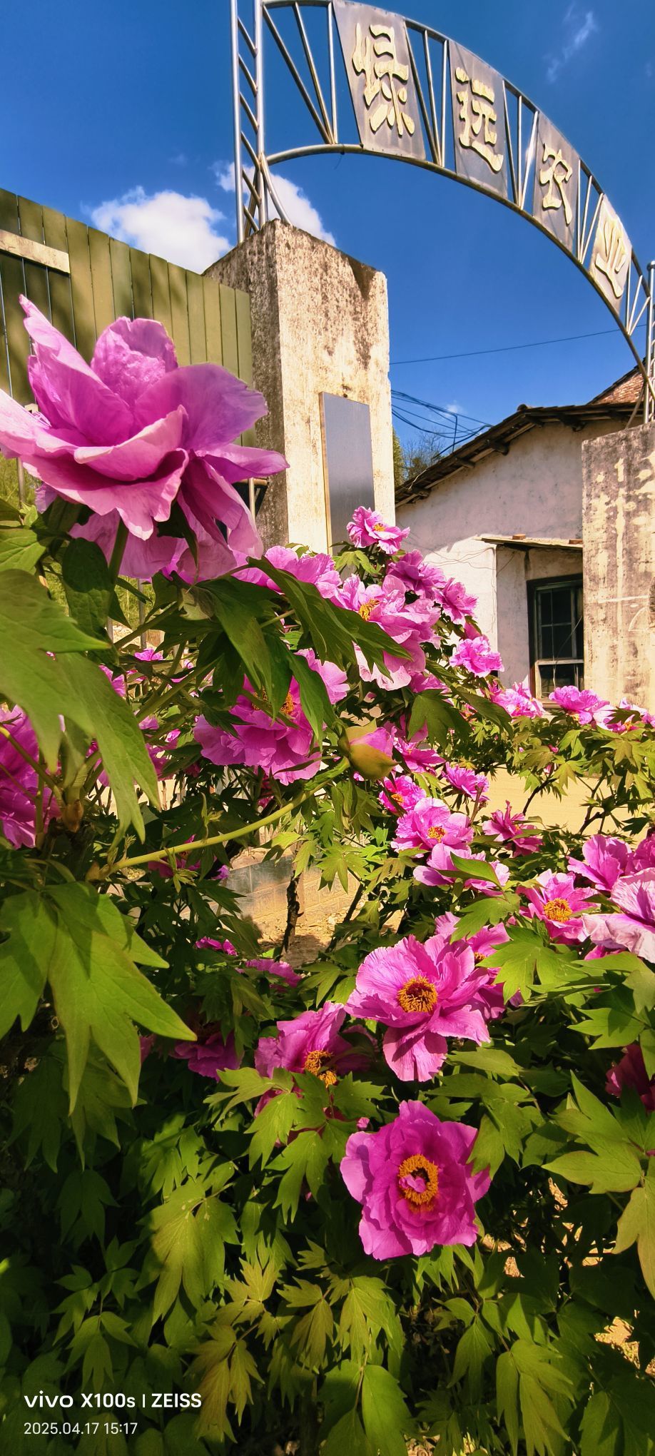 妞妞骑行全国的图片