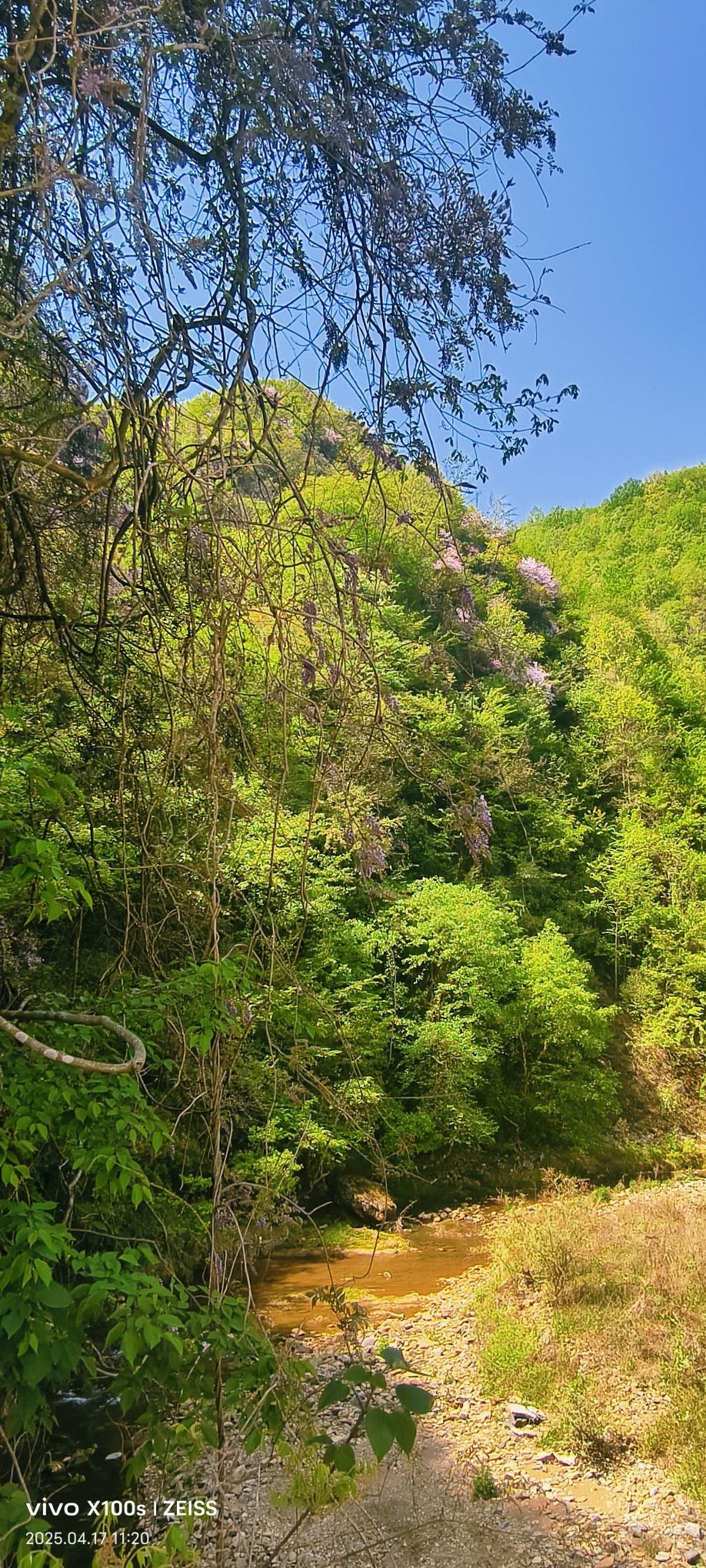 妞妞骑行全国的图片
