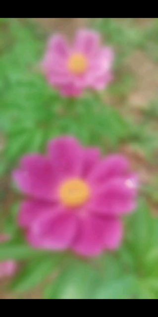 四月🍀愿你我🙆一切安