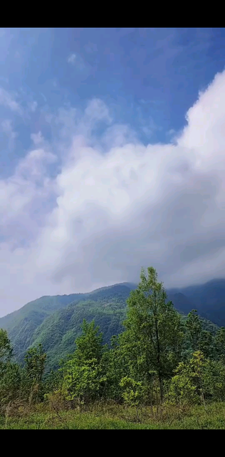 命里有时终须有，命里