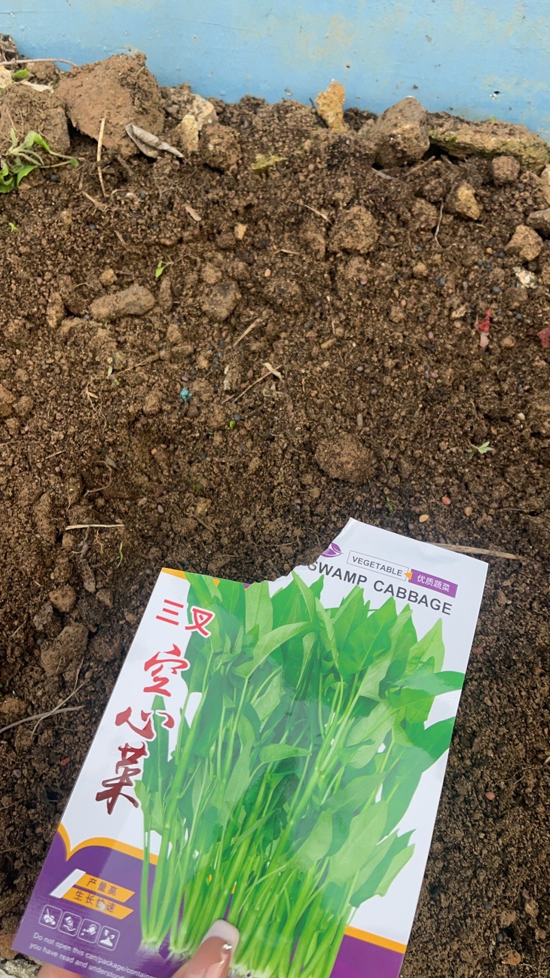 語芊??的主播照片