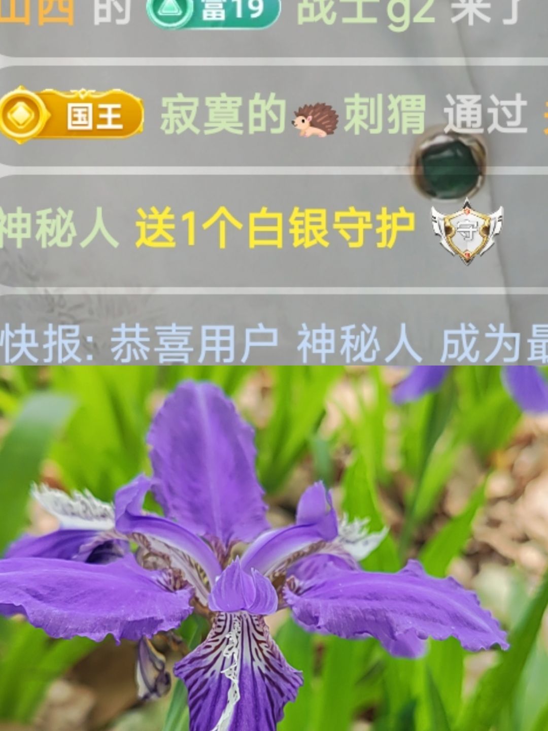 婷婷💕感恩有你陪伴的图片