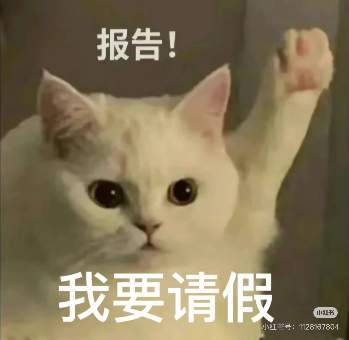 ??汐汐妹??的主播照片