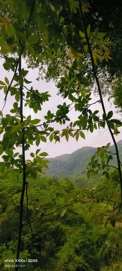 妞妞骑行三亚的图片