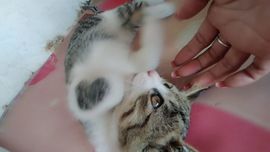 ╰つ留青╰ゞ主播照片