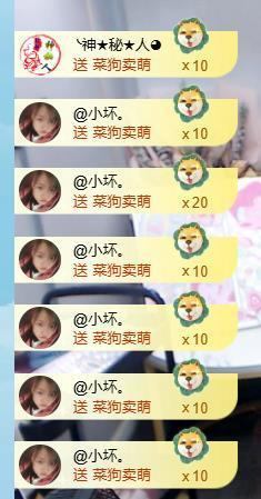 ━╋小灰灰❤坏丫头主播照片