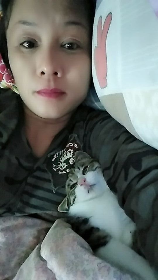 雪燕.的图片