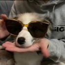 Racheljh