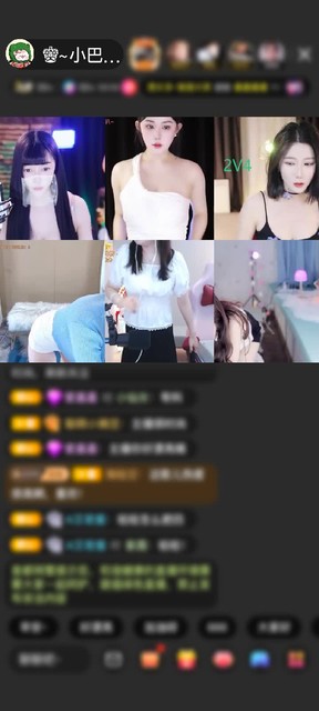 感谢小巴豆家老流氓赠送满满的爱1个