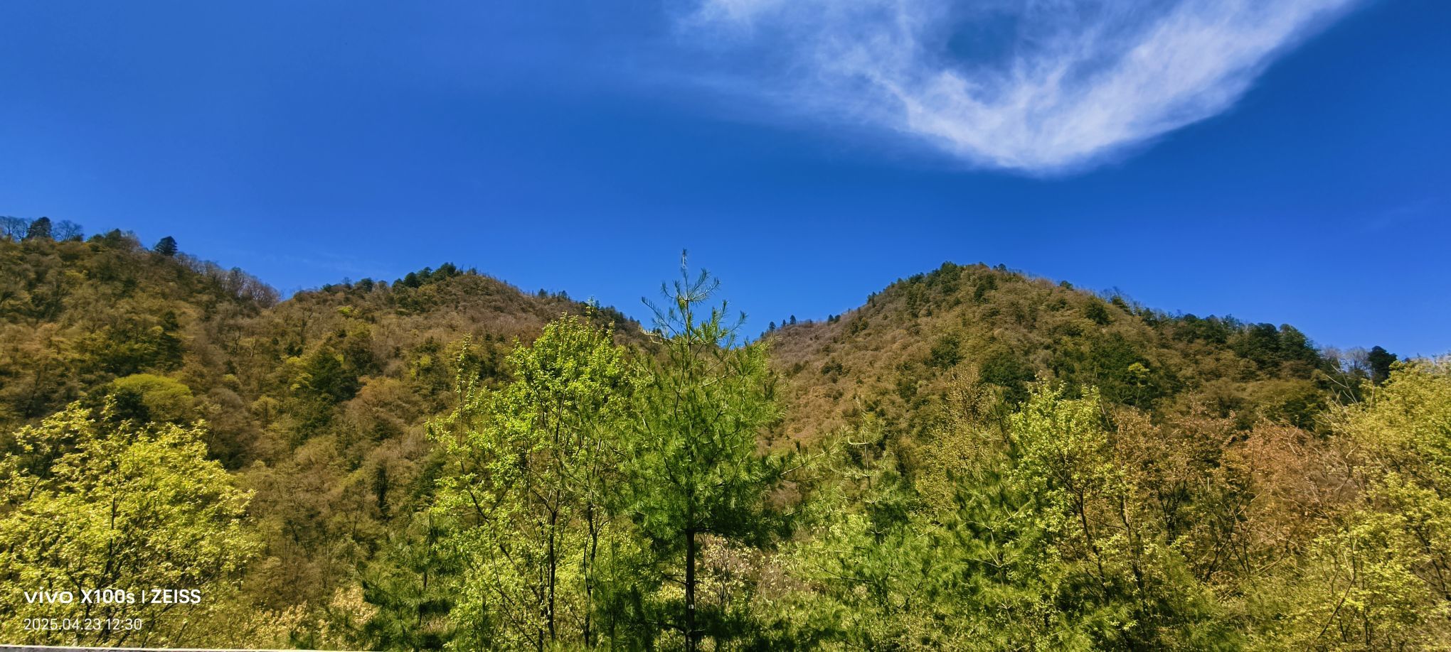 妞妞骑行全国的图片