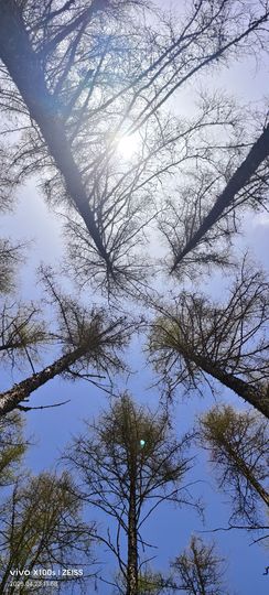 妞妞骑行中国主播照片