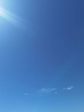 灵悦🔥🌻花爷🌻主播照片