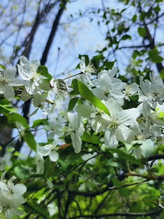 连呼吸都沾满自由的味