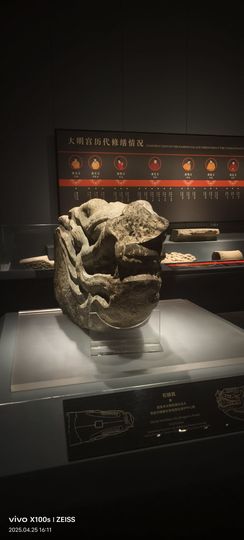妞妞骑行中国主播照片