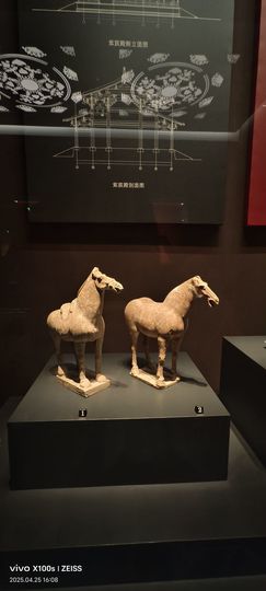 妞妞骑行中国主播照片