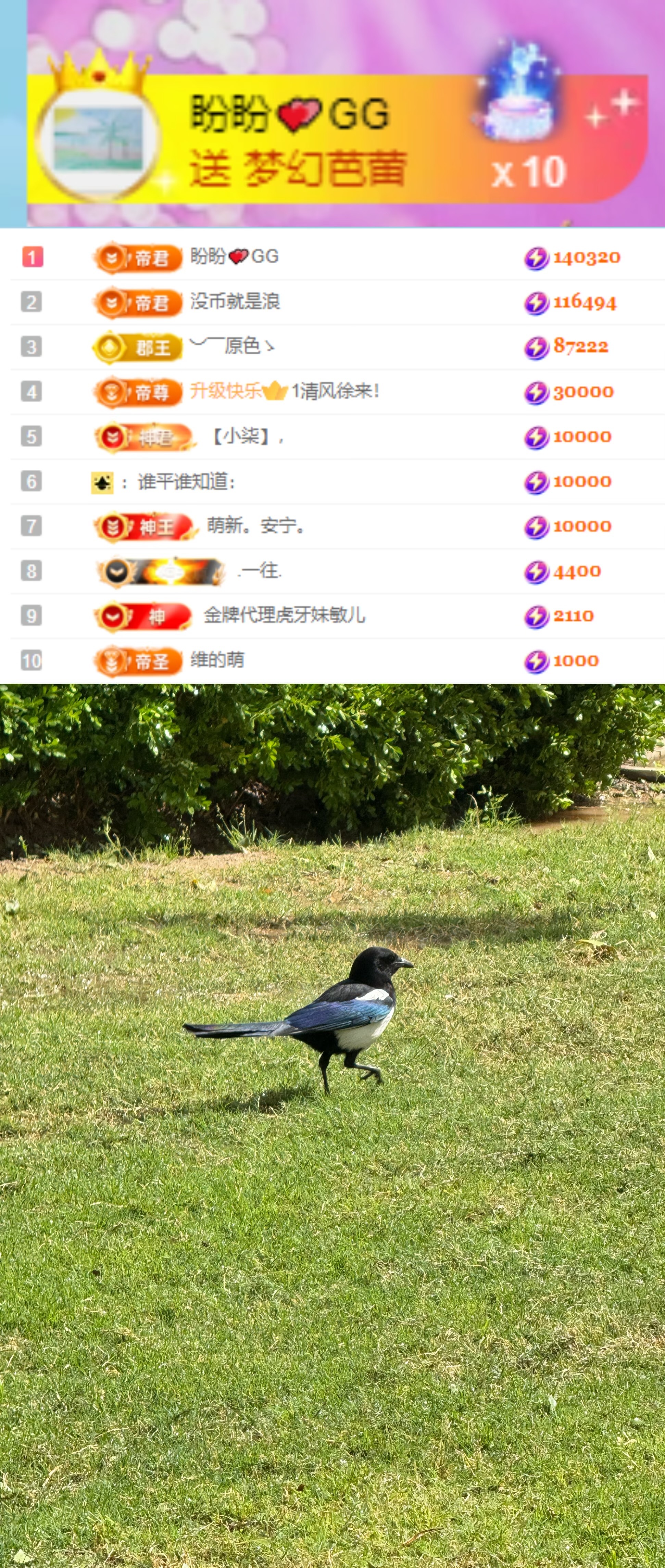 陳慧慧??早10晚8主播圖片