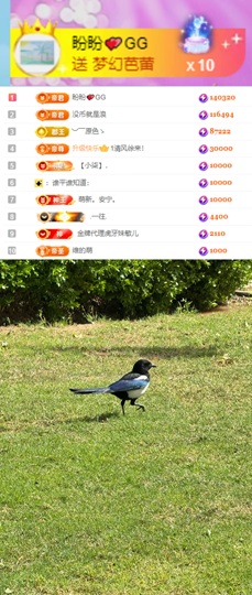 陈慧慧🥕早10晚8主播照片