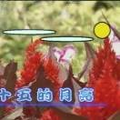 有你真好！清平