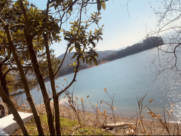 祖母马拉格海报