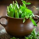 沈顺昌