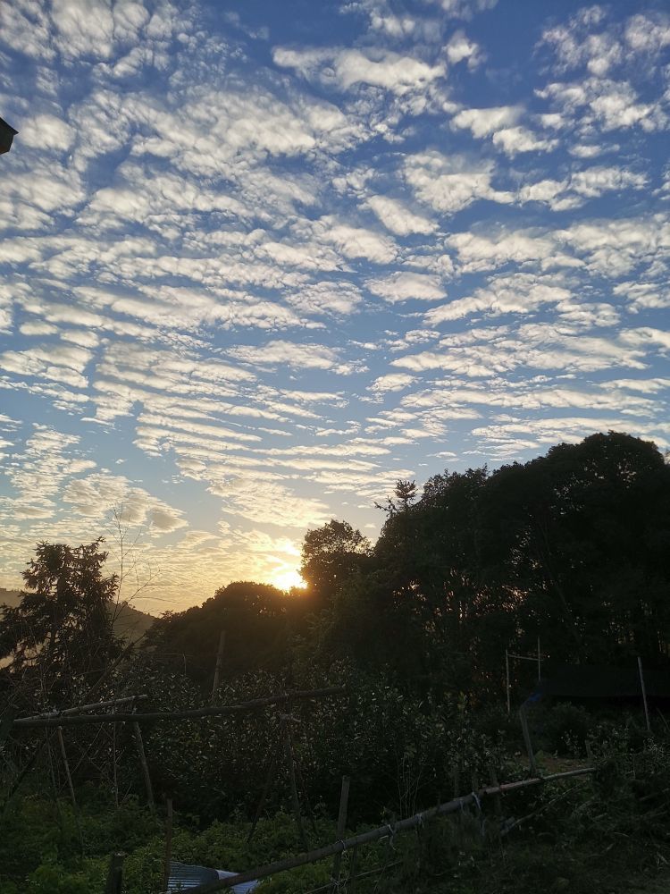 小謝??農村田園生活主播圖片