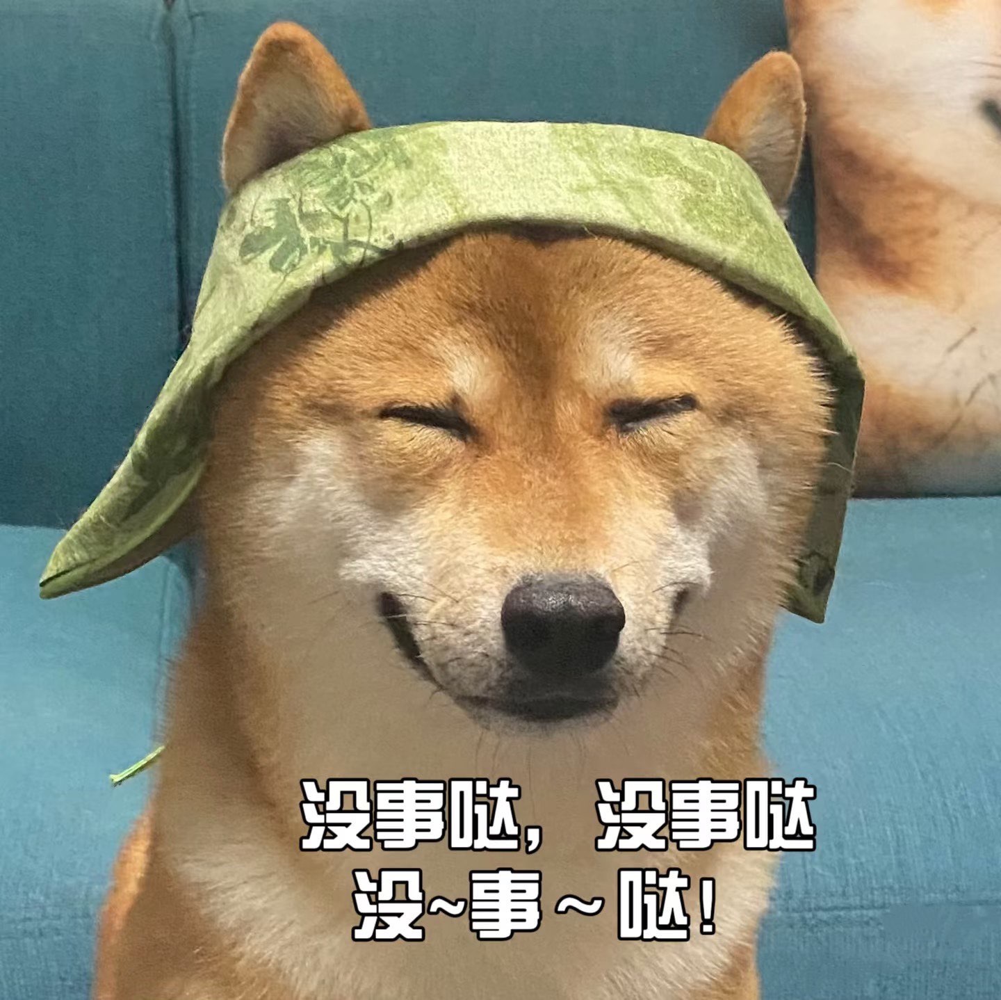 兮瑤吖??主播圖片