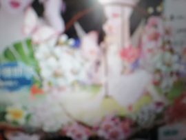 丑小鸭☯求一束光主播照片