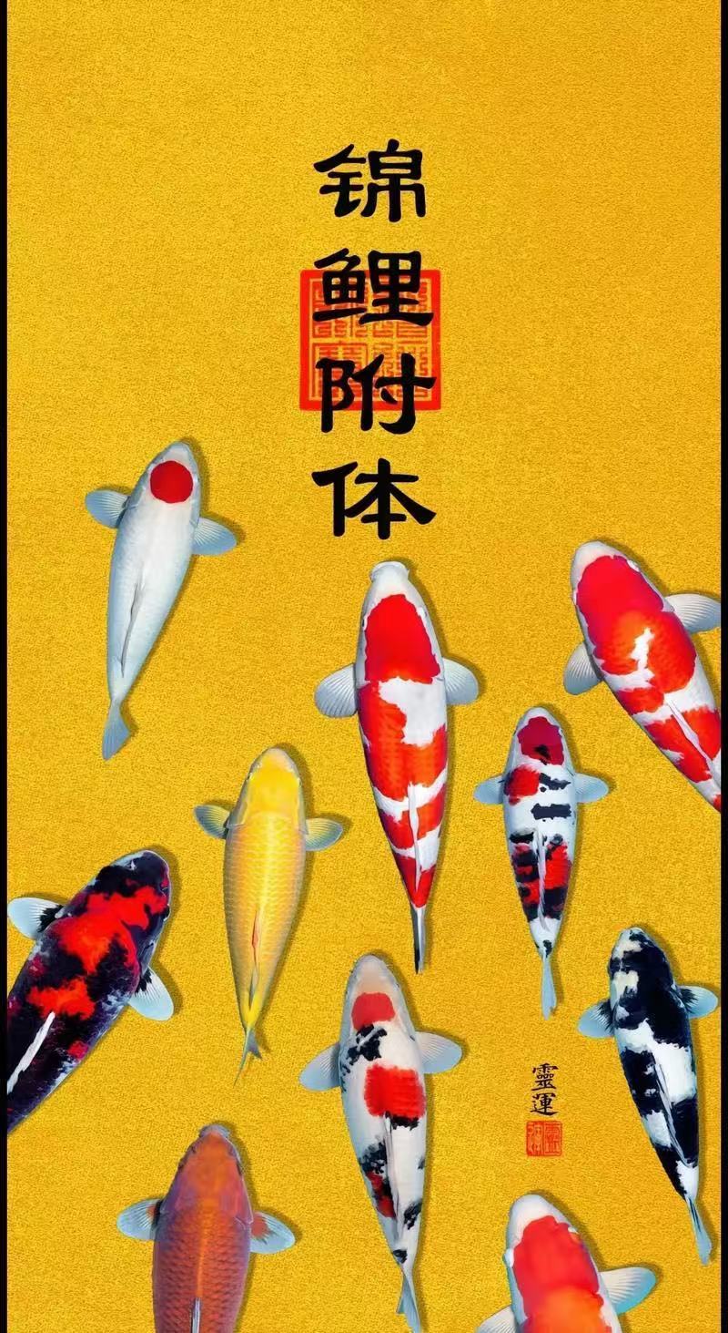 ?錦鯉來米?來財(cái)來愛主播圖片