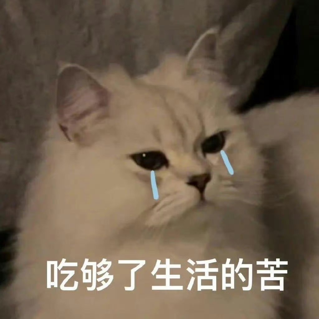 小柒…….主播图片