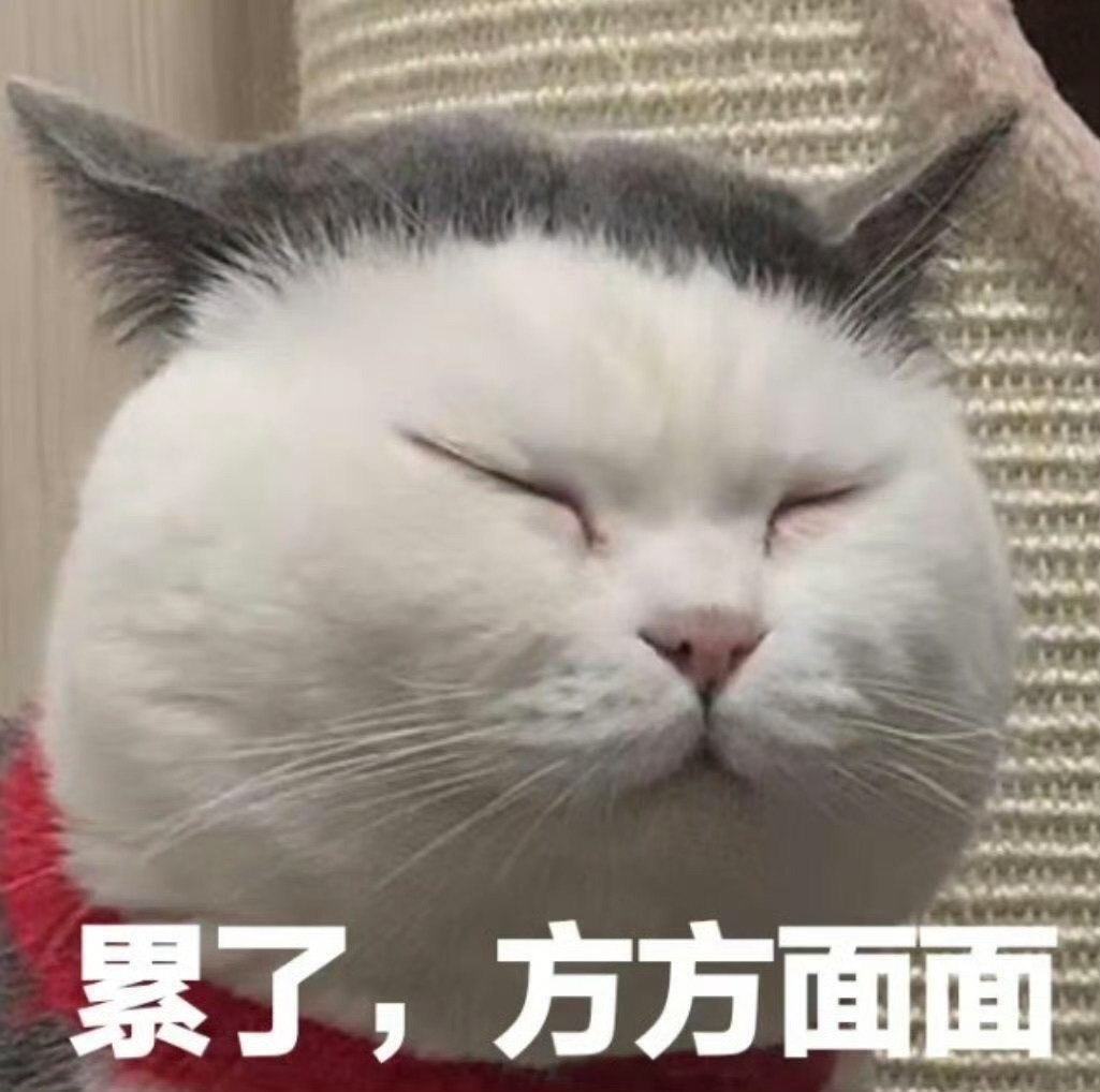 小柒…….主播图片