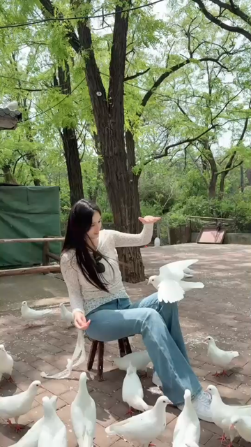 鸽子如此热情/大笑