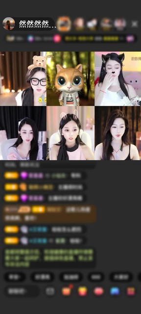 感謝然然的小謎弟（休）贈(zèng)送獅吼天下1個(gè)