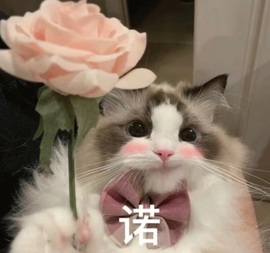 艺艺🍪喂一口主播照片