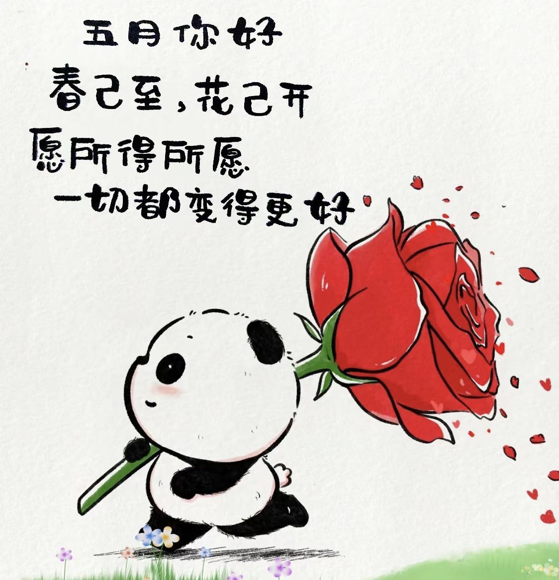 温暖宝宝💰求一道光的图片