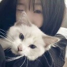 xiaoyaws的頭像