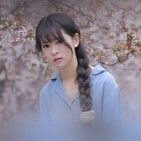 苹果树下捡lpad的头像